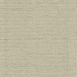 Kasmir Polished Fog Fabric