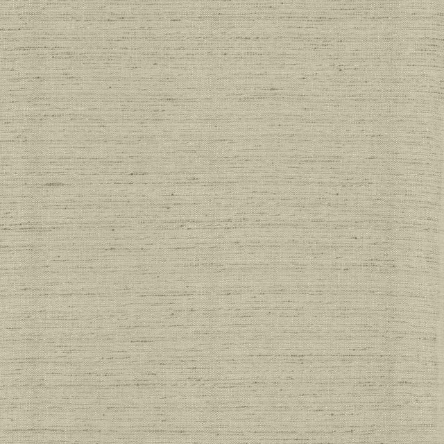 Kasmir Polished Fog Fabric
