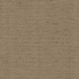 Kasmir Polished Silver Fabric