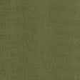 Kasmir Berwick Moss Fabric