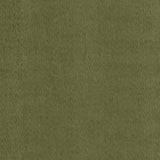 Kasmir Berwick Moss Fabric