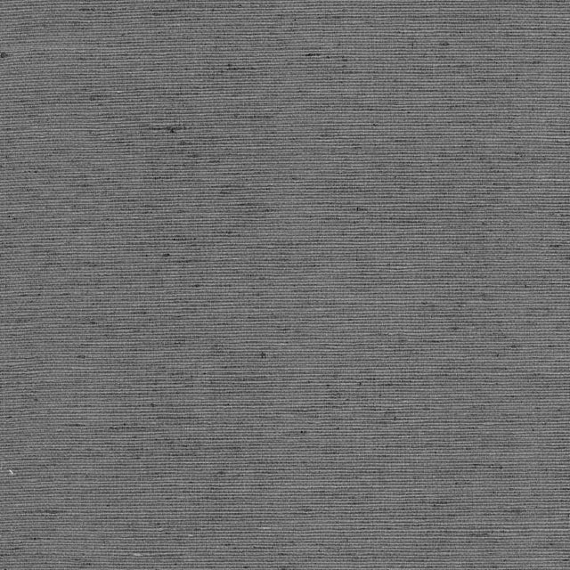 Kasmir Bharat Charcoal Fabric