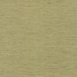 Kasmir Bharat Kiwi Fabric