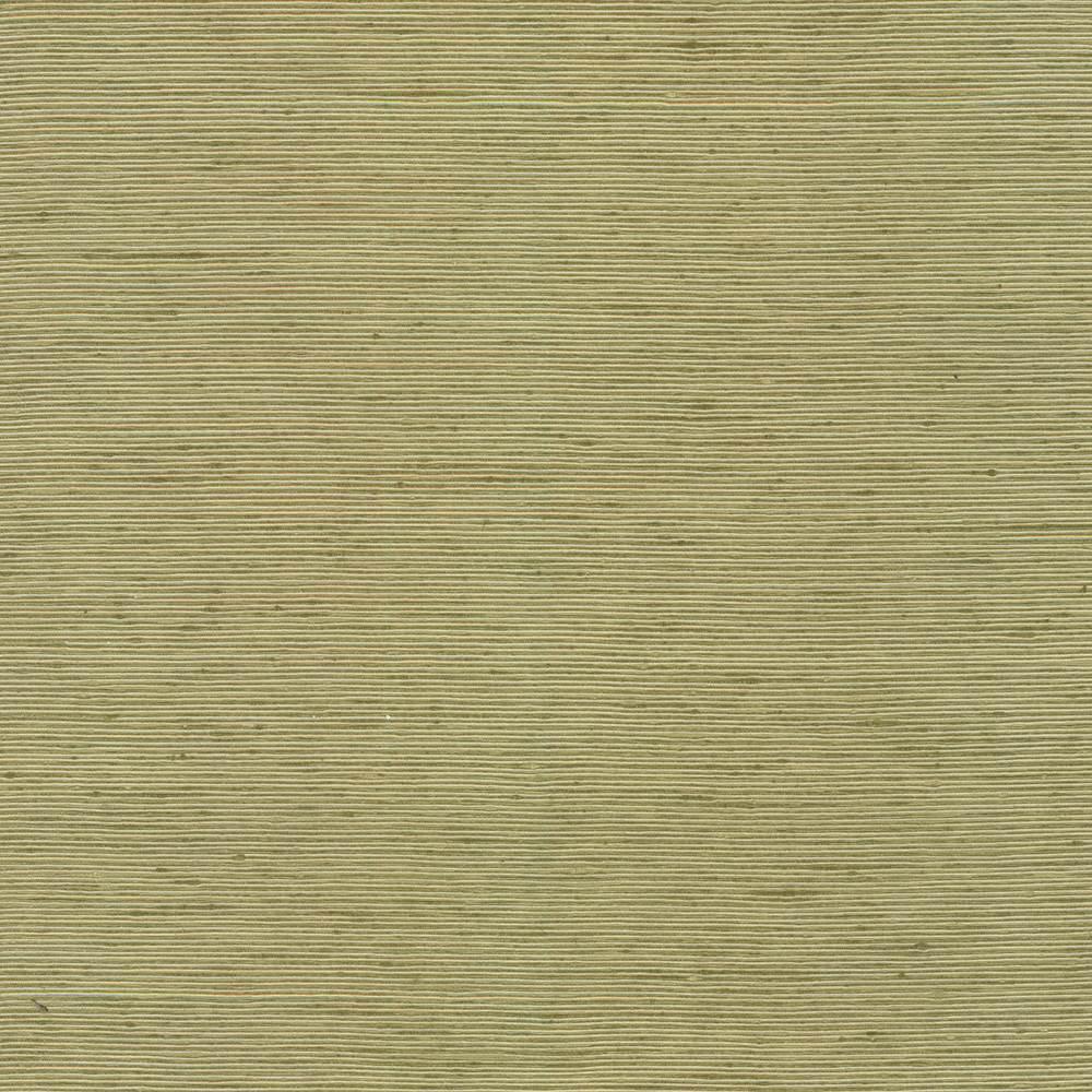 Kasmir Bharat Kiwi Fabric
