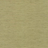 Kasmir Bharat Kiwi Fabric