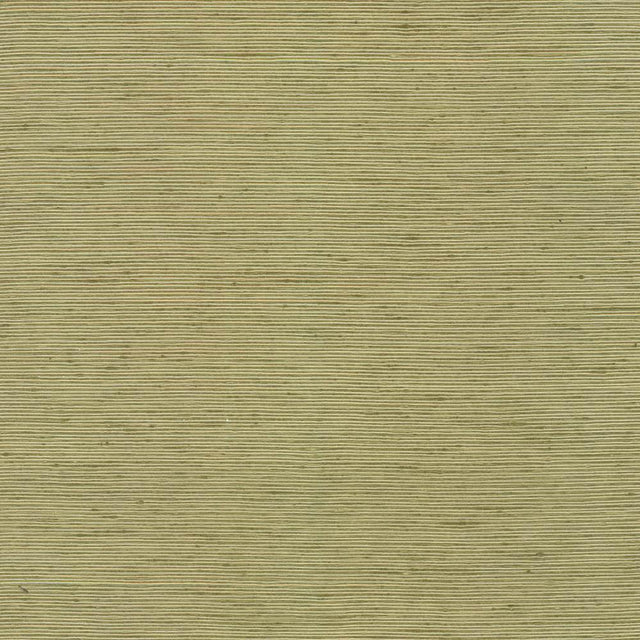 Kasmir Bharat Kiwi Fabric