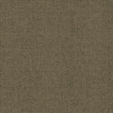 Kasmir Scope Flax Fabric