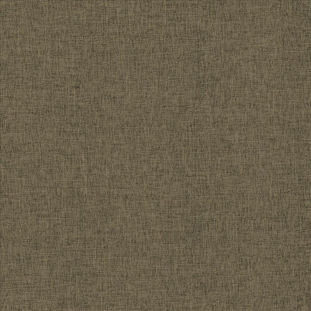 Kasmir Scope Flax Fabric