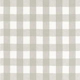 Schumacher Key West Check Zinc Fabric