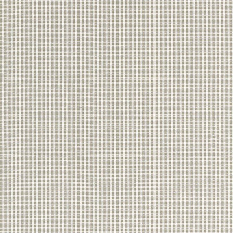 Schumacher Aruba Check Stone Fabric