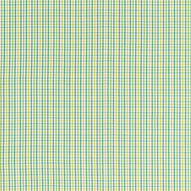 Schumacher Bahama Check Lagoon Fabric