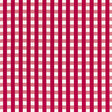 Schumacher Bermuda Check Azalea Fabric