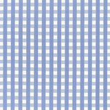 Schumacher Bermuda Check Cornflower Fabric