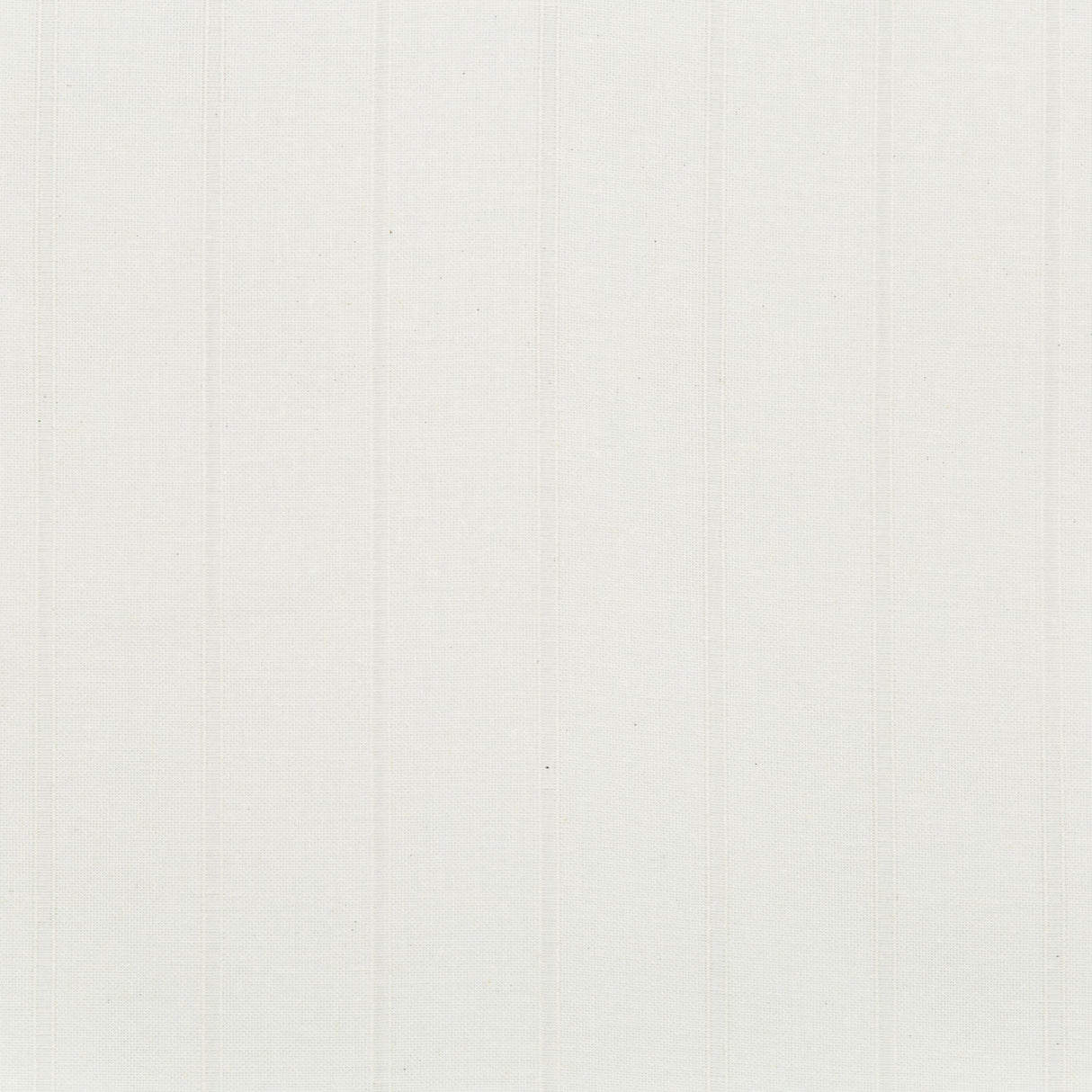Gaston Y Daniela ROCHA 01 Drapery Fabric
