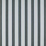 Gaston Y Daniela TAVOLARA AZUL Drapery Fabric