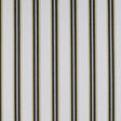 Gaston Y Daniela TAVOLARA ONYX/AMARILLO Drapery Fabric