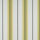 Gaston Y Daniela BURANO ONYX/AMARILLO Drapery Fabric