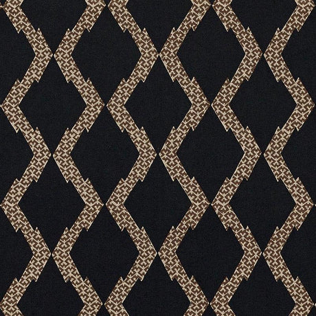 Schumacher Topi Appliqu Black Fabric