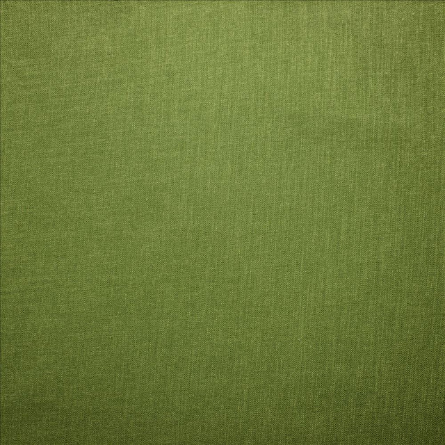 Kasmir Subtle Chic Green Fabric