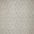 Kasmir Transformation Mink Fabric