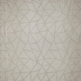 Kasmir Transformation Mink Fabric