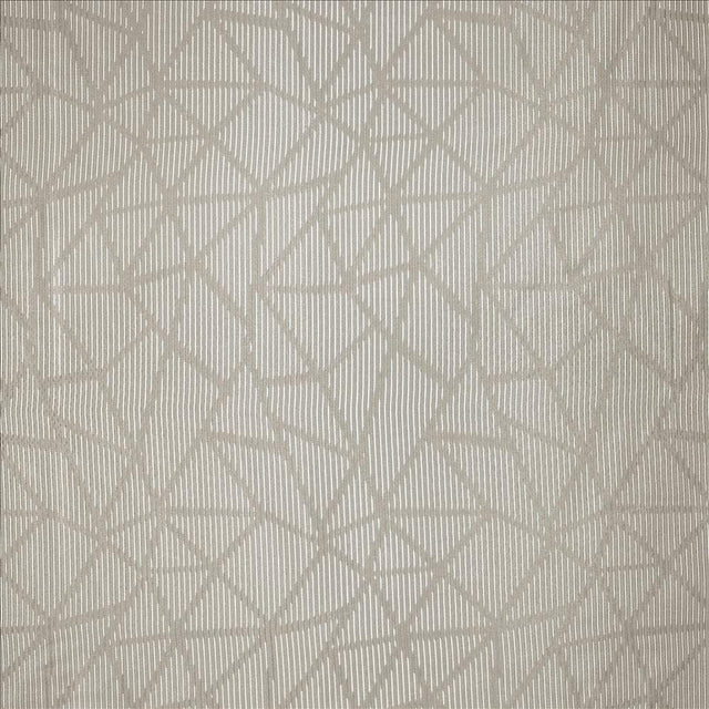 Kasmir Transformation Mink Fabric