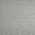 Kasmir Transformation Platinum Fabric