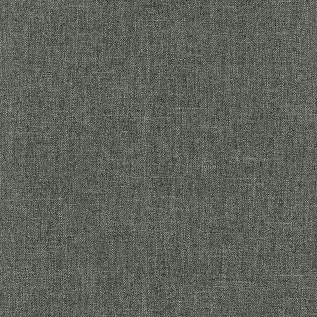 Kasmir Tundra Anvil Fabric