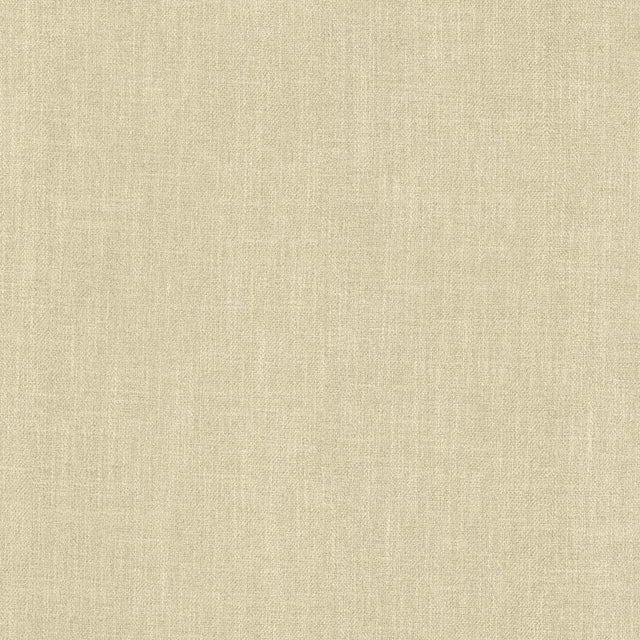 Kasmir Tundra Cloud Fabric