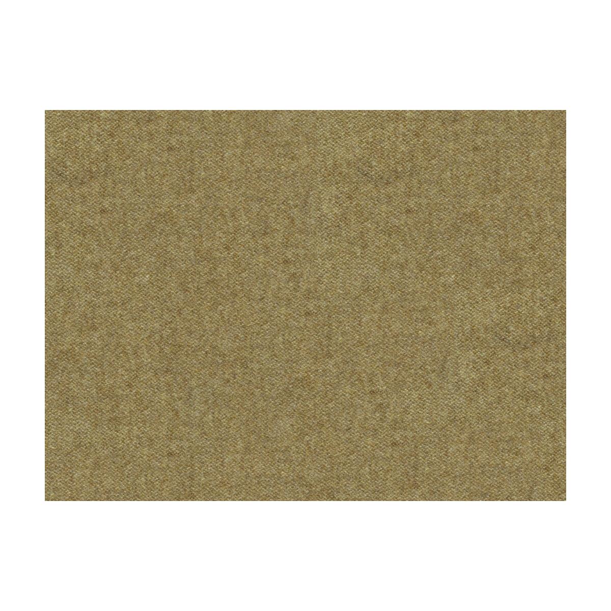 Kravet Picacho Sage Fabric