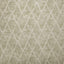 Kasmir Vesper Natural Fabric
