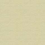 Kravet TRISTAN GOLDEN KISS Upholstery Fabric