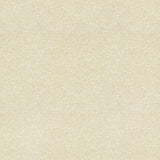 Lee Jofa BROGLIE OYSTER Upholstery Fabric