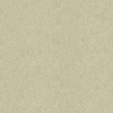 Kravet DAZZLING HAUTE PUMICE Fabric