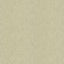 Kravet DAZZLING HAUTE PUMICE Fabric