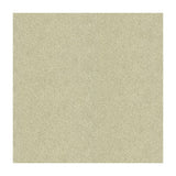 Kravet Dazzling Haute Pumice Fabric