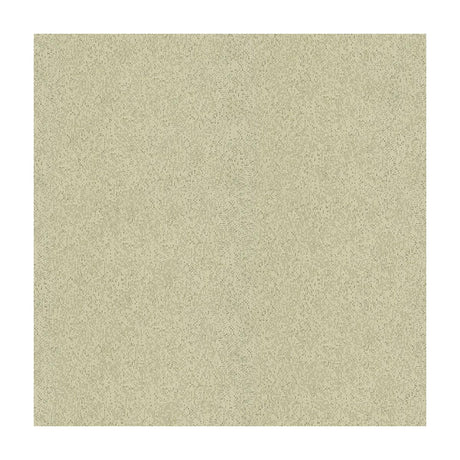 Kravet Dazzling Haute Pumice Fabric