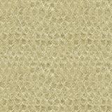 Kravet URBAN ARMOR WARM SAND Fabric