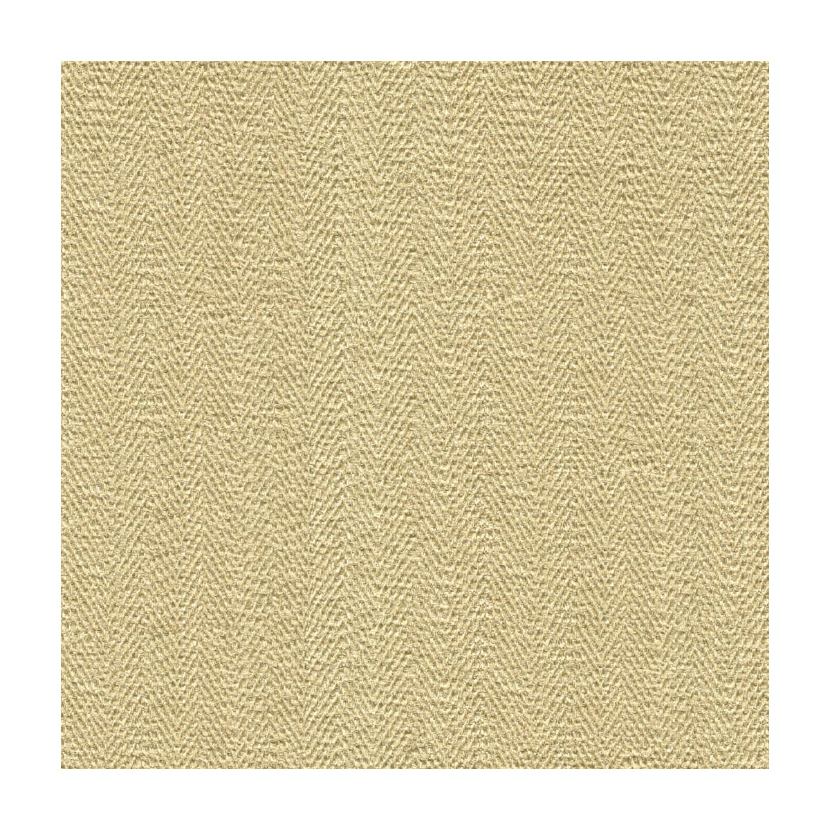 Kravet Sneak Peek Shell Fabric