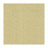 Kravet Sneak Peek Shell Fabric