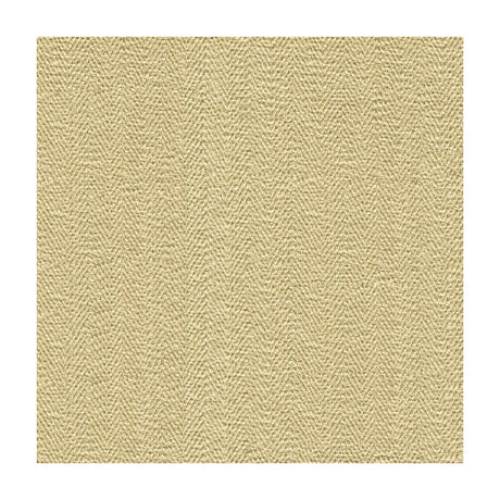 Kravet Sneak Peek Shell Fabric