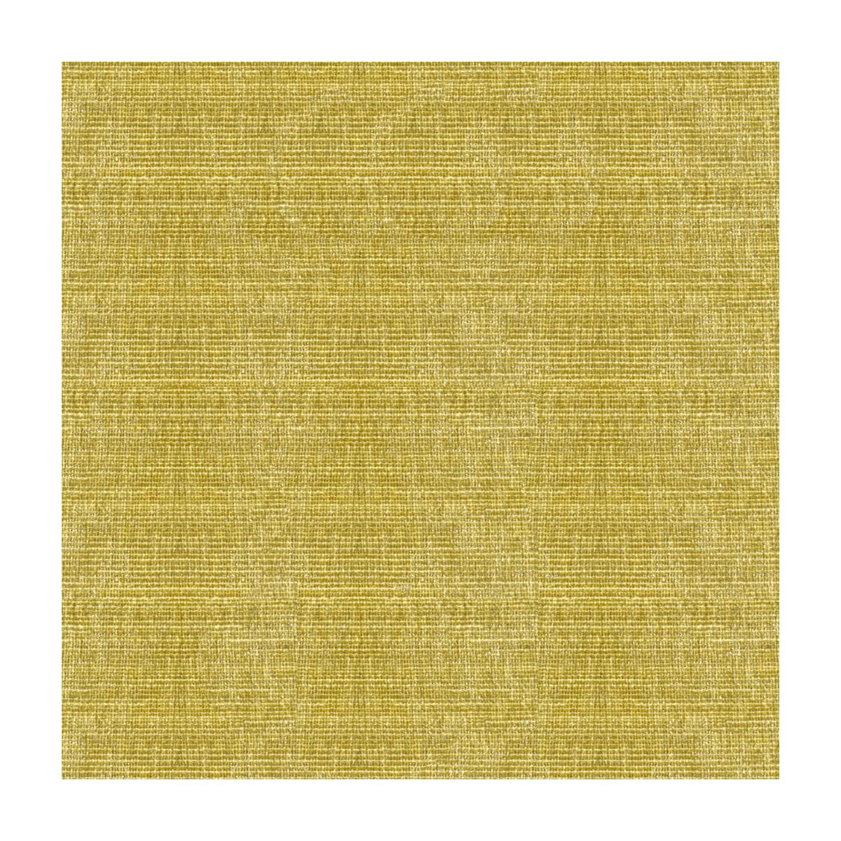Kravet 34191 303 Fabric
