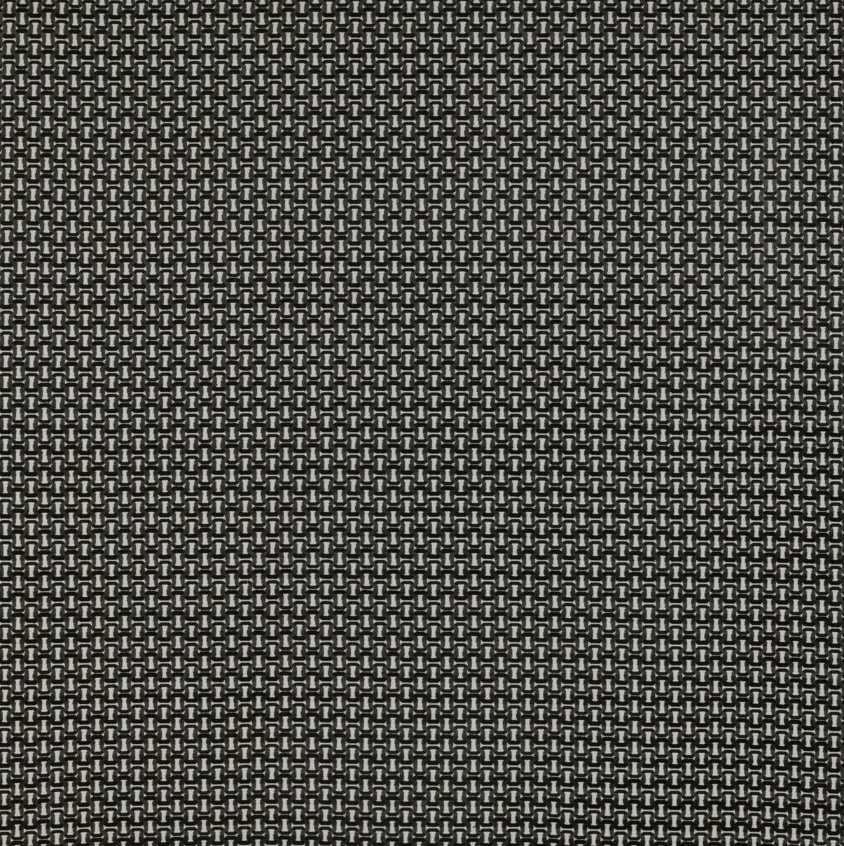 Gaston Y Daniela VIAREGGIO BLANCO/ONYX Upholstery Fabric