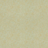 Kravet SENSORY SILK PEBBLE Fabric