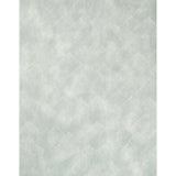 Lee Jofa BRINK PAPER ARCTIC/CLOUD Wallpaper
