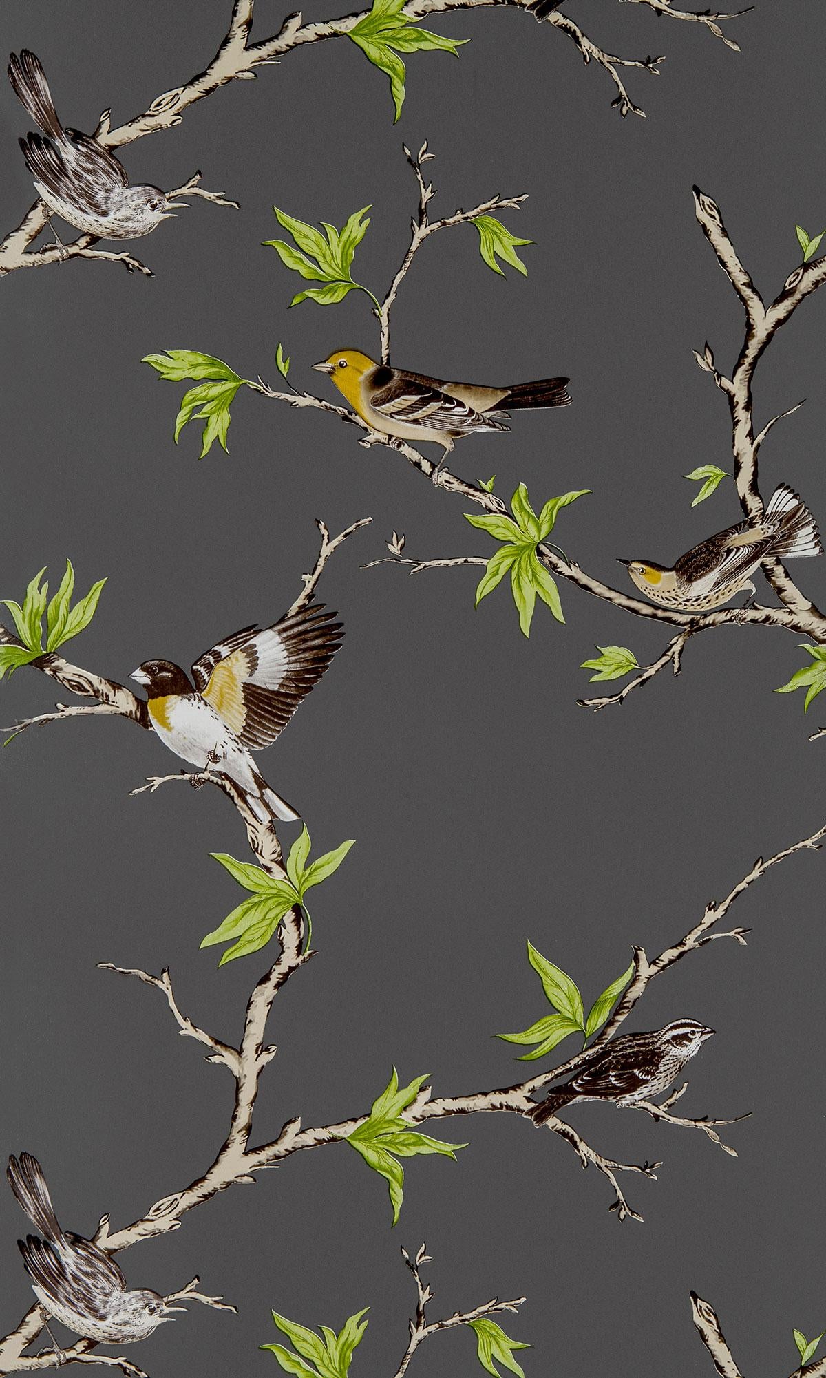 Gaston Y Daniela VILLA FIORI ANTRACITA Wallpaper