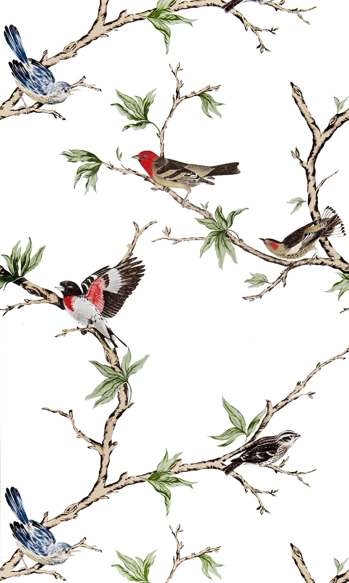 Gaston Y Daniela VILLA FIORI BLANCO/NEGRO Wallpaper