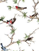 Gaston Y Daniela Villa Fiori Blanco/Negro Wallpaper