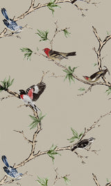 Gaston Y Daniela VILLA FIORI TOSTADO/NEGRO Wallpaper