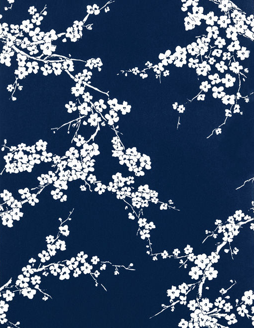 Gaston Y Daniela Primavera Azul Wallpaper